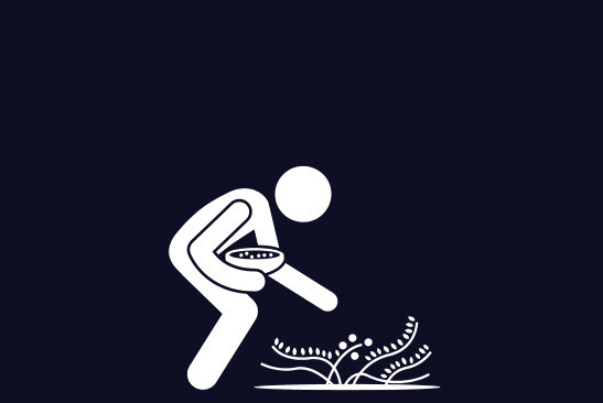 Plant Seeds Get Leads: 739 painting and carpentry leads in 5 months